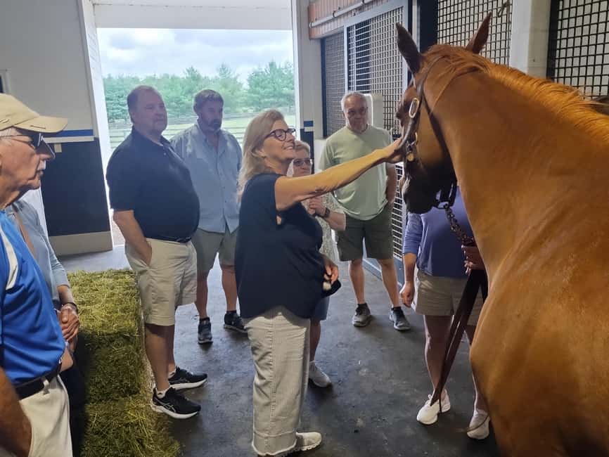 Lexington: Thoroughbred Horse Farm Tour and Scenic Bluegrass - How to make the most of the three and a half hours