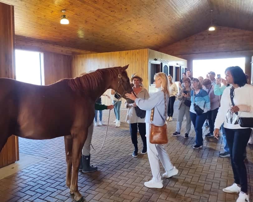 Lexington: Thoroughbred Horse Farm Tour and Scenic Bluegrass - Starting at Waller Avenue