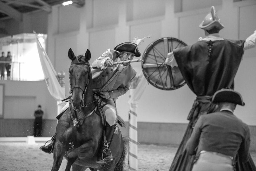 Lisbon: Morning of Equestrian Art with Lusitano Horses - Accessibility, timing, and simple planning