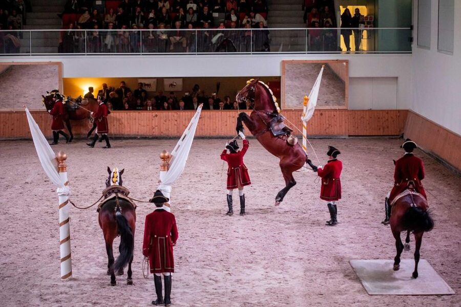 Lisbon: Morning of Equestrian Art with Lusitano Horses - What this Lisbon horse experience is really like