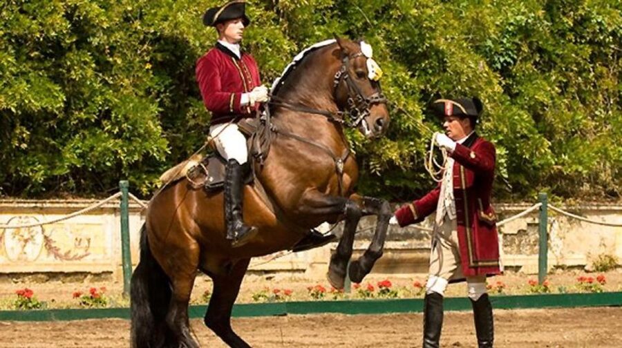 Lisbon: Morning of Equestrian Art with Lusitano Horses - Watching the Henrique Calado Riding Ring