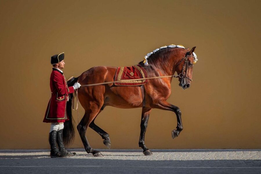 Lisbon: Morning of Equestrian Art with Lusitano Horses - Why the period costume and music matter