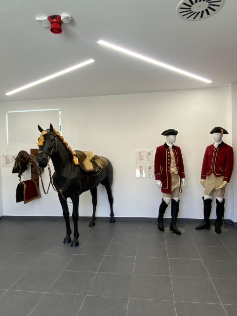 Lisbon: Morning of Equestrian Art with Lusitano Horses - The ticket detail you should not miss