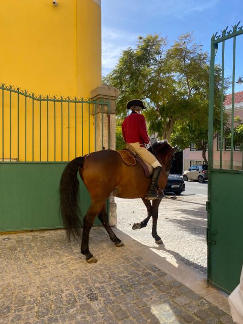 Lisbon: Morning of Equestrian Art with Lusitano Horses - Who will enjoy this most
