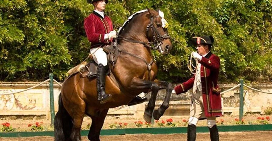 Lisbon: Morning of Equestrian Art with Lusitano Horses - Starting at the Nora Patio