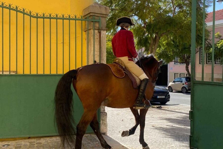 Lisbon: Portuguese Riding School Trainig with Lusitano Horse - Key points at a glance