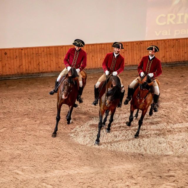 Lisbon: Portuguese Riding School Trainig with Lusitano Horse - Why the stable work matters as much as the riding