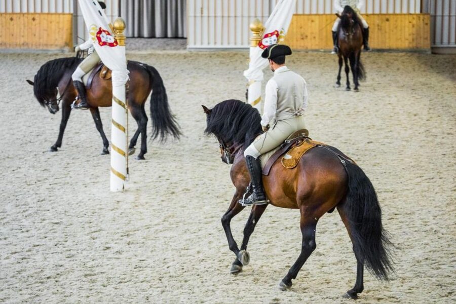 Lisbon: Portuguese Riding School Trainig with Lusitano Horse - Warm-up exercises before the formal riding