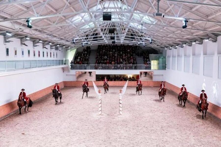 Lisbon: Portuguese Riding School Trainig with Lusitano Horse - Henrique Calado Riding Ring and the rehearsal work