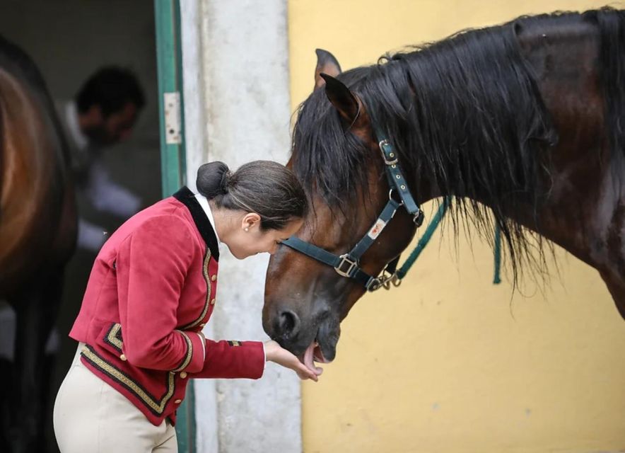 Lisbon: Portuguese Riding School Trainig with Lusitano Horse - Access, comfort, and practical limits