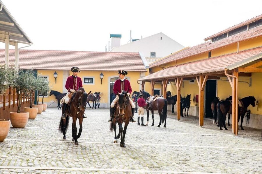 Lisbon: Portuguese Riding School Trainig with Lusitano Horse - Meeting the Lusitano horse