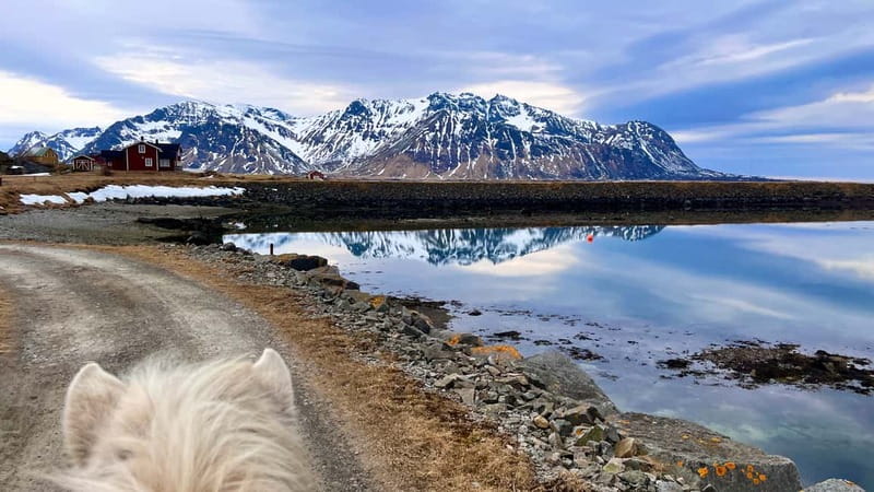 Lofoten: Guided Horse Riding Tour Over Hov and Hovsund - Why Hov’s Coast Works So Well on Horseback