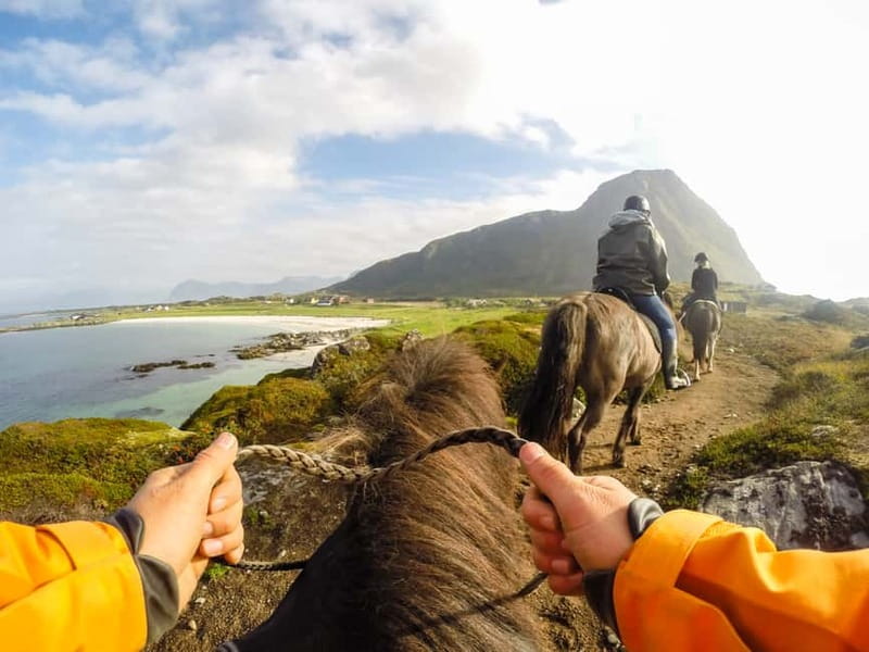 Lofoten: Guided Horse Riding Tour Over Hov and Hovsund - Meeting Your Horse at Hov Gård