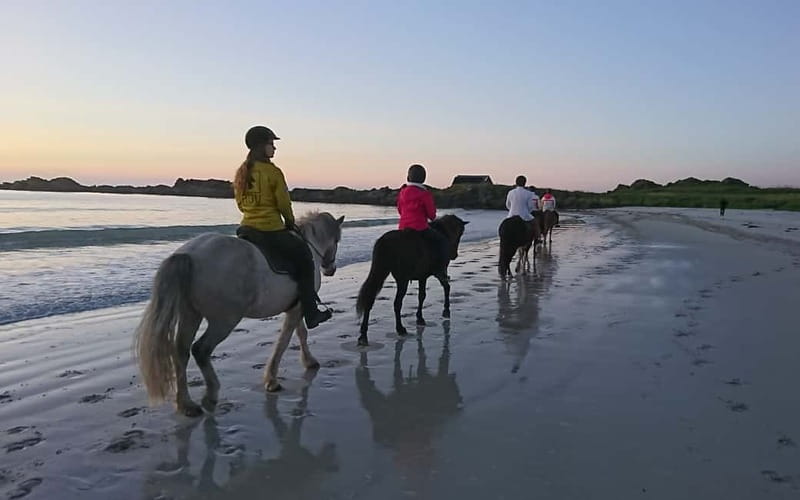 Lofoten: Guided Horse Riding Tour Over Hov and Hovsund - What the Slow Pace Means for You