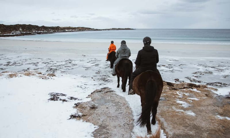 Lofoten: Guided Horse Riding Tour Over Hov and Hovsund - Gear, Weather, and What to Pack