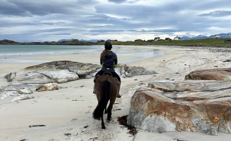Lofoten: Guided Horse Riding Tour Over Hov and Hovsund - Is $145 a Fair Price for 1.5 Hours?