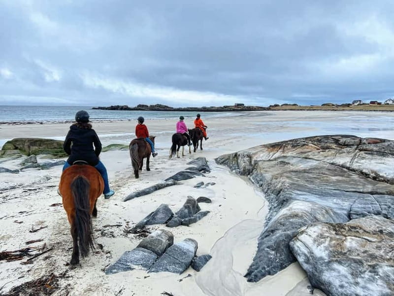 Lofoten: Guided Horse Riding Tour Over Hov and Hovsund - Crossing Hov’s Arctic Beach