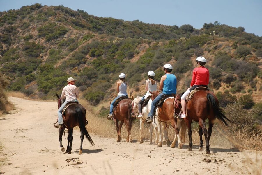 Los Angeles: 2-Hour Hollywood Trail Horseback Riding Tour - Key points to know before you ride