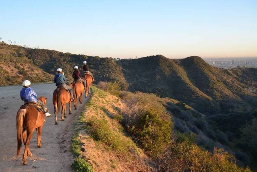 Los Angeles: 2-Hour Hollywood Trail Horseback Riding Tour - Hollywood sign views without the Hollywood sign close-up