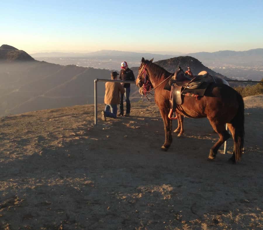 Los Angeles: Evening 2-Hour Hollywood Horseback Riding Tour - Key points to know before booking