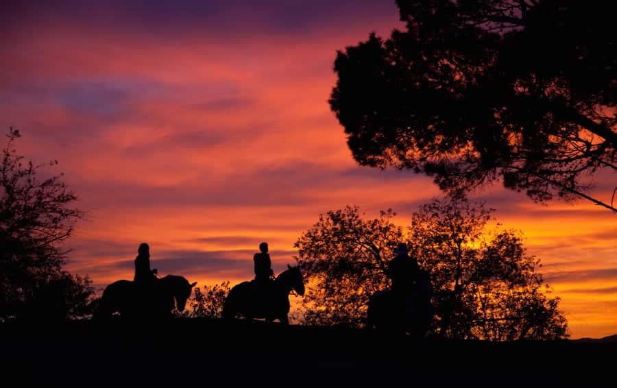 Los Angeles: Evening 2-Hour Hollywood Horseback Riding Tour - Why this horseback ride feels different from a standard Hollywood tour