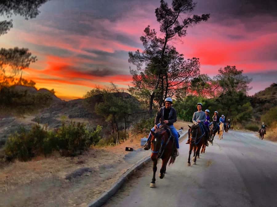 Los Angeles: Evening 2-Hour Hollywood Horseback Riding Tour - Meeting the horses and getting ready to ride