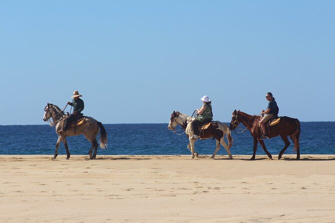 Los Cabos ATV and Pacific Horseback Riding Combo Tour - What the price includes, and what it does not