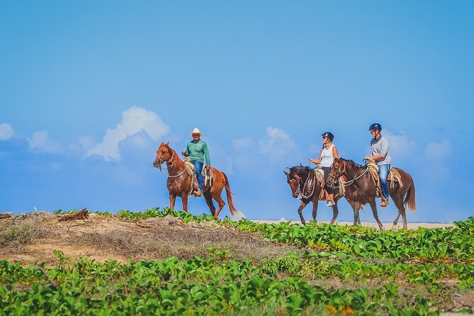 Los Cabos Combo: ATV + Horseback Riding - Who should book this Cabo outing?