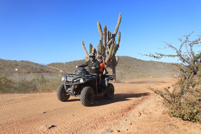 Los Cabos - COMBO Horseback Riding & ATV Tour - Booking, timing, and cancellation details