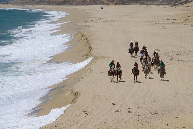 Los Cabos Horseback Riding - How the horses and pace suit beginners