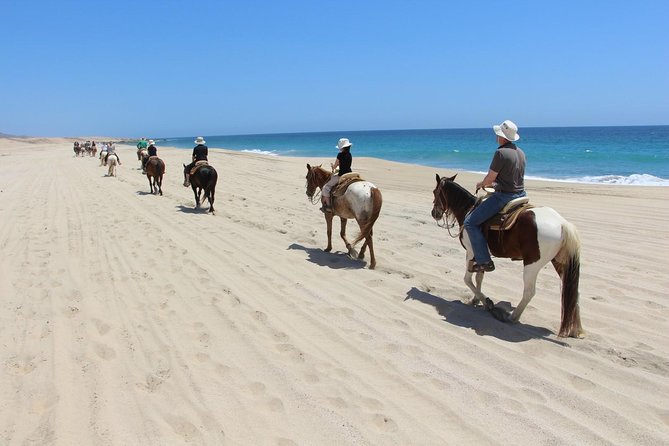 Los Cabos Horseback Riding - Heat, clothing, and comfort on the trail