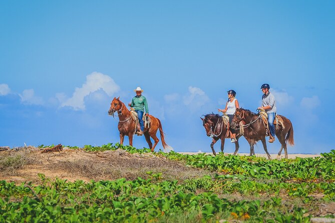 Los Cabos Horseback Riding - The two-hour promise and the real rhythm of the day