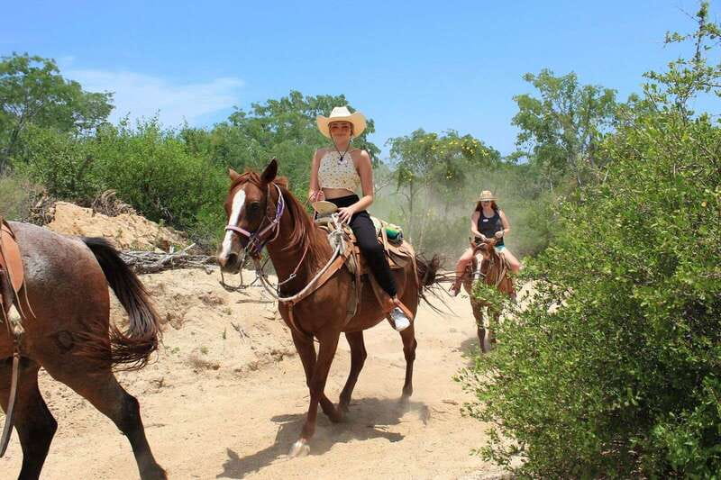 Los Cabos: Horseback Riding in Canyon a Mexican Experience - Quesadillas and a drink at Lion’s Den