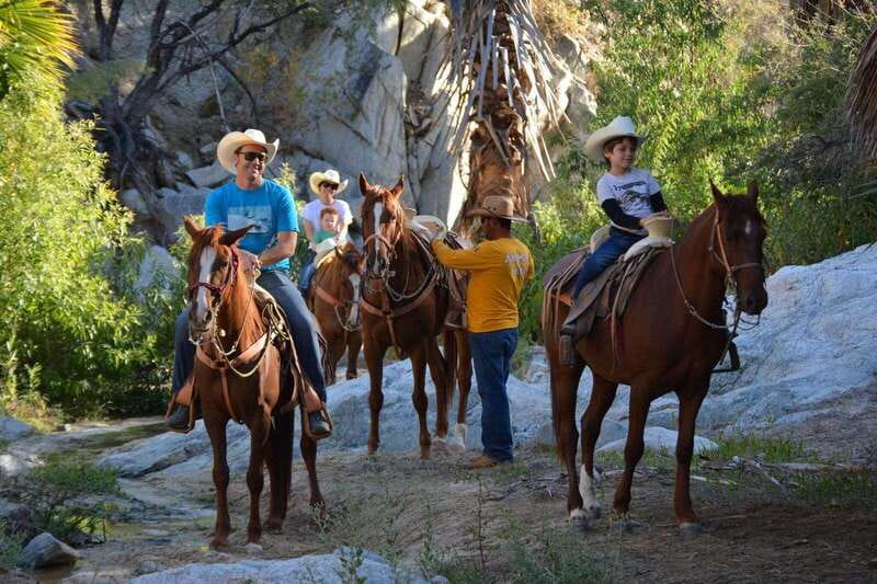 Los Cabos: Horseback Riding in Canyon a Mexican Experience - Hotel pickup from Cabo and the Tourist Corridor