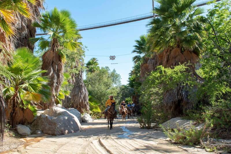 Los Cabos: Horseback Riding in Canyon a Mexican Experience - Safety rules and what to wear