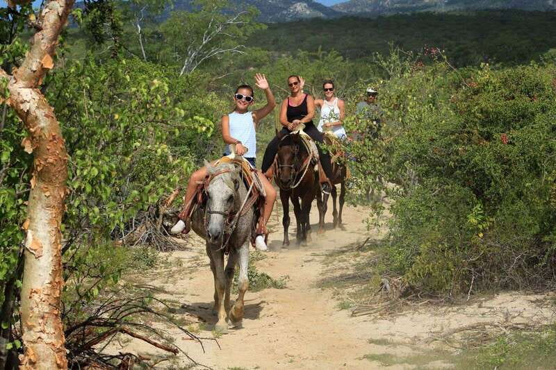 Los Cabos: Horseback Riding in Canyon a Mexican Experience - Who will enjoy this four-hour outing