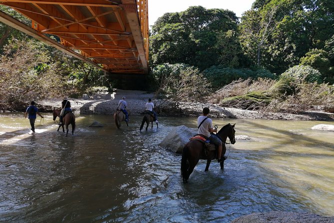 Los Naranjos Beach Horseback Riding Tayrona Park. - From Tayrona forest to the Piedras River