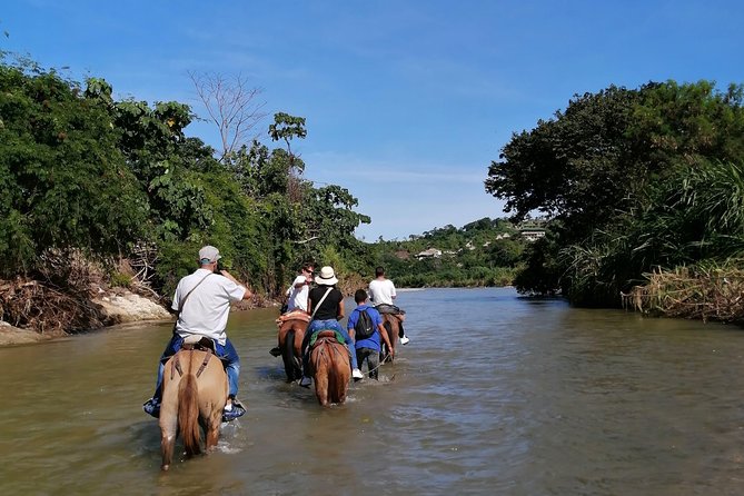Los Naranjos Beach Horseback Riding Tayrona Park. - Two hours at Los Naranjos Beach