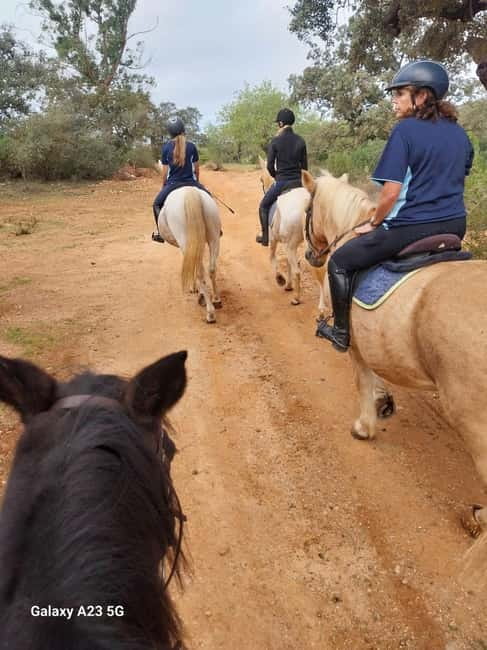 Loulé: Guided Horse Riding in the Hills of salir - Choosing a horse and getting ready