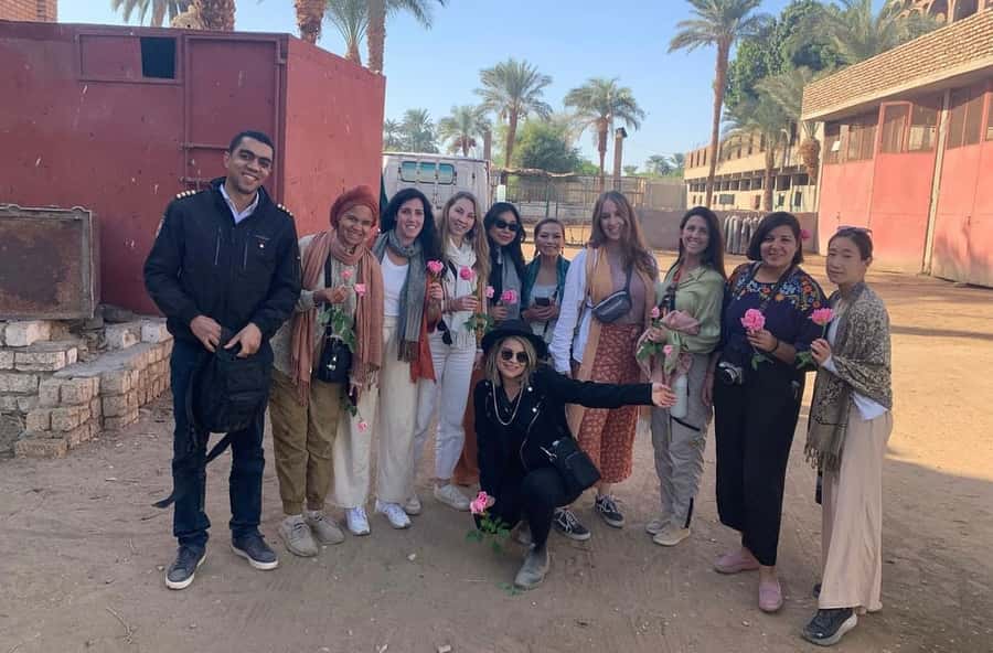 Luxor: Farm Tour 30 Hectares(Breakfast With Arabian Horses) - Meeting the Arabian horses
