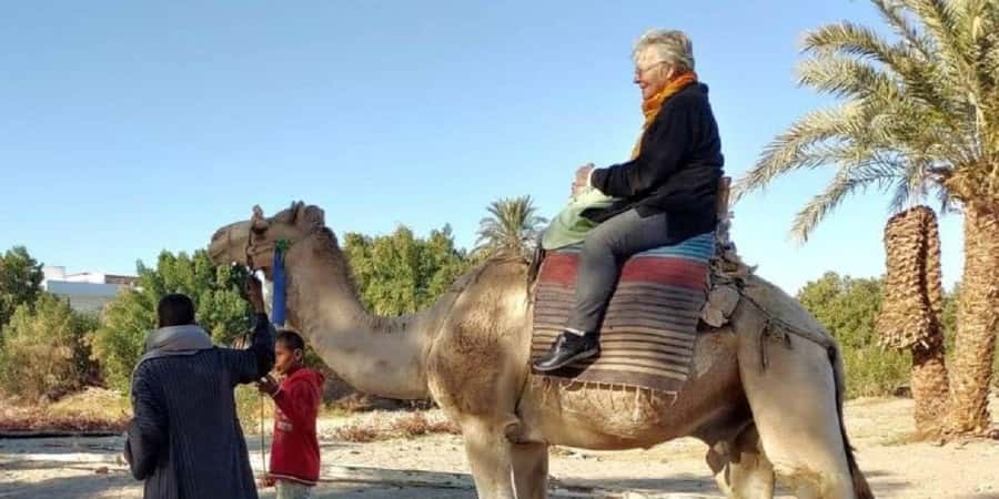 Luxor: Scenic Camel or Horse Ride - Key points to know before booking