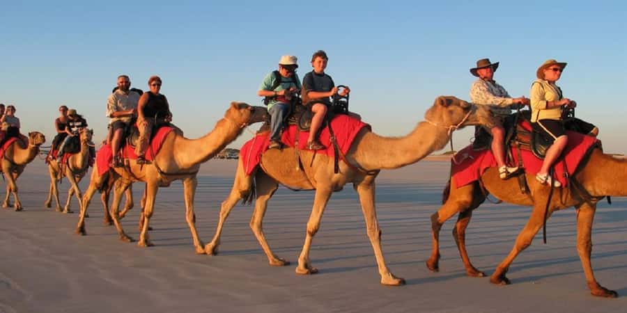 Luxor: Scenic Camel or Horse Ride - A gentle ride through Luxor’s green West Bank