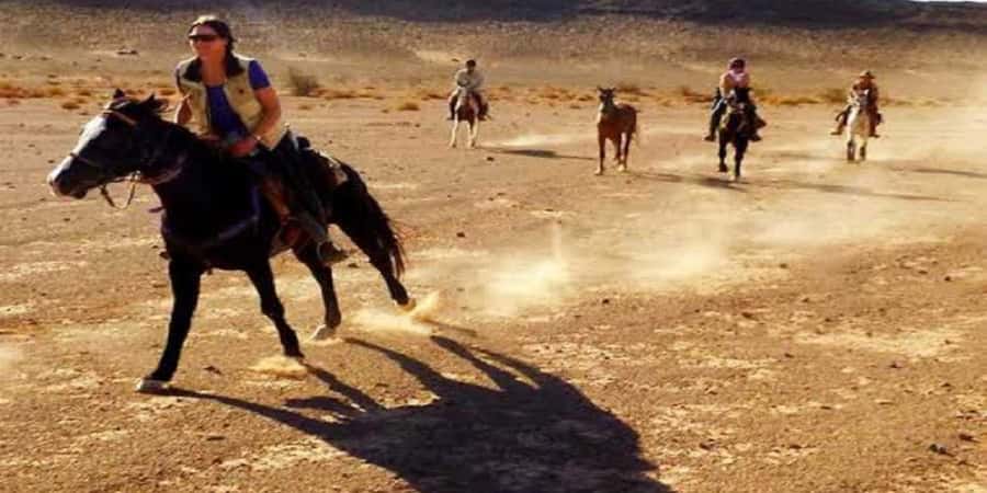 Luxor: Scenic Camel or Horse Ride - Animal care and the role of the handlers