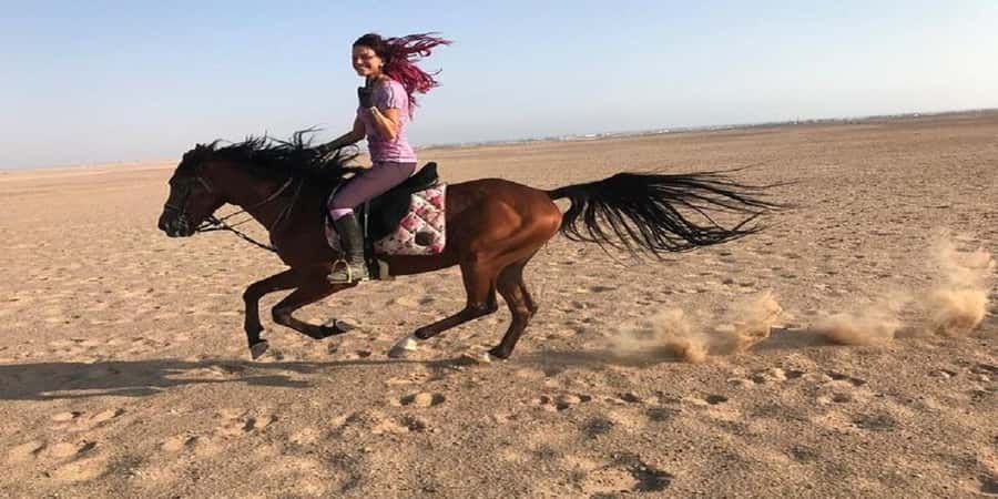 Luxor: Scenic Camel or Horse Ride - The transport problem you should plan around