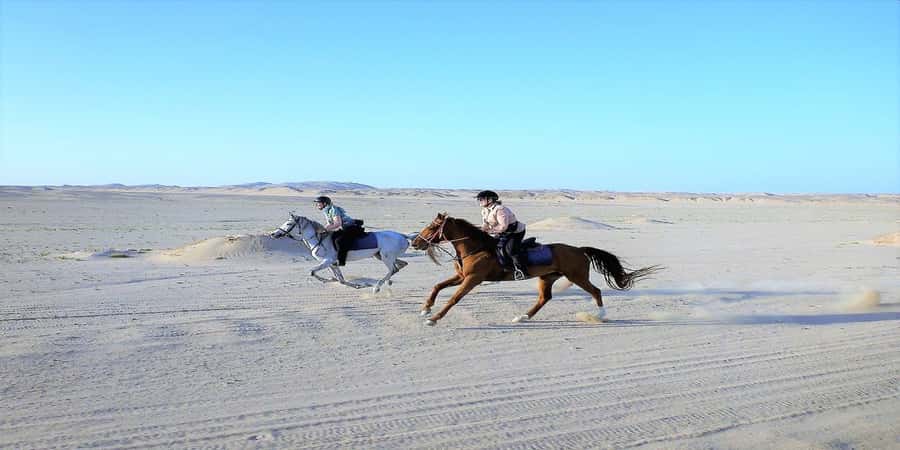 Luxor: Scenic Camel or Horse Ride - Who will enjoy this most?