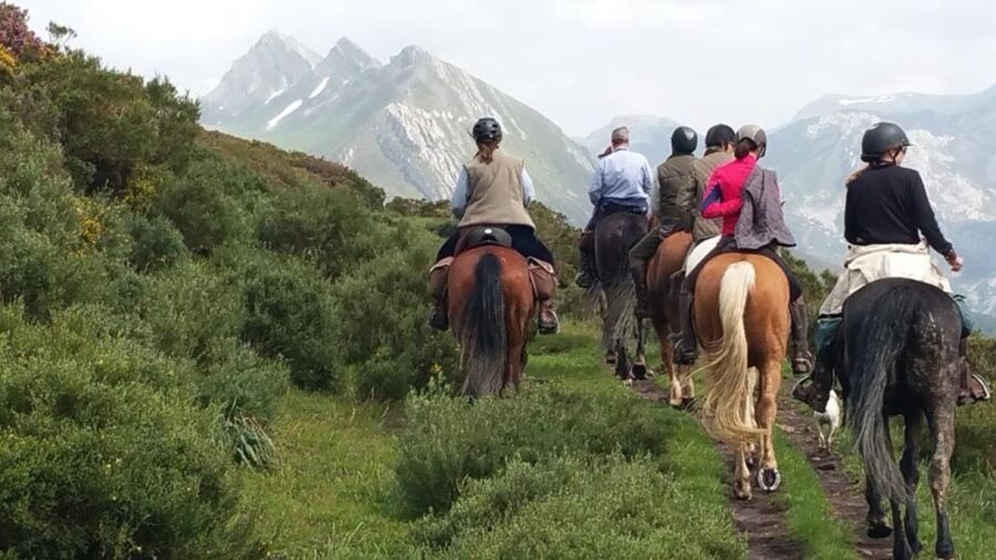Madrid: Horse Riding in Sierra del Guadarrama National Park - Key points at a glance