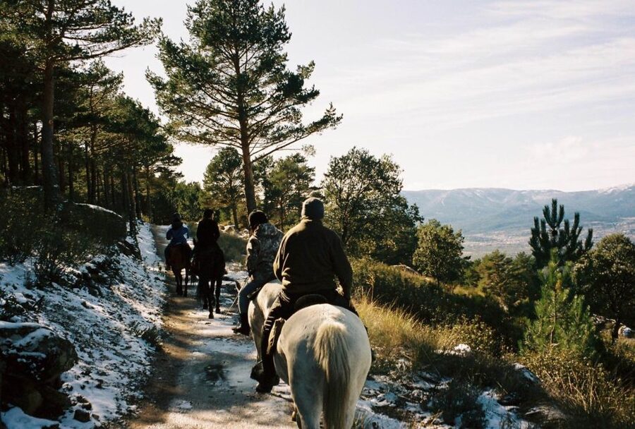 Madrid: Horse Riding in Sierra del Guadarrama National Park - Who will enjoy this ride most?