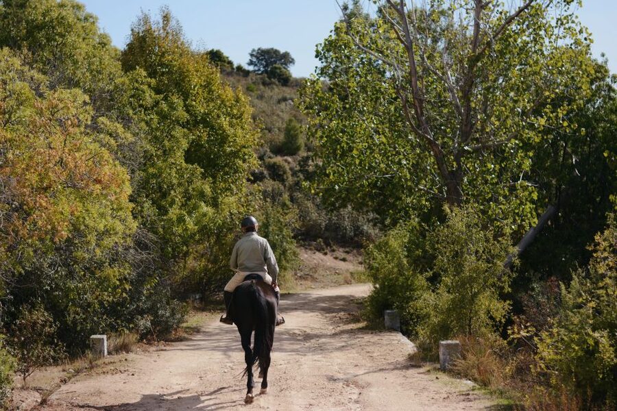 Madrid: Horse Riding in Sierra del Guadarrama National Park - Practical planning for the day