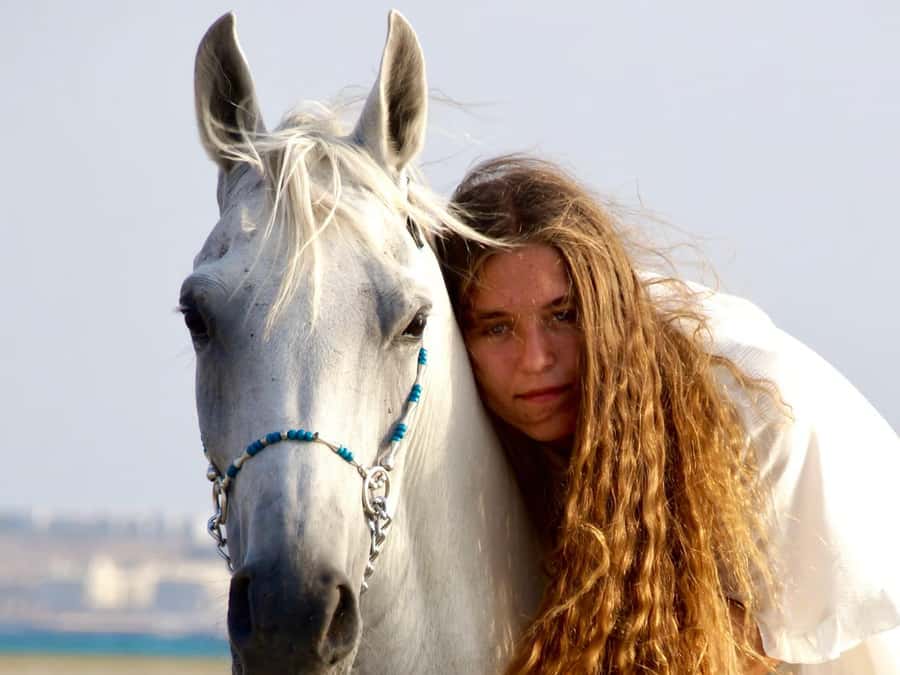 Makadi Bay: Horse Riding in Desert & Sea w Guide + Transfers - Key points to know before you book