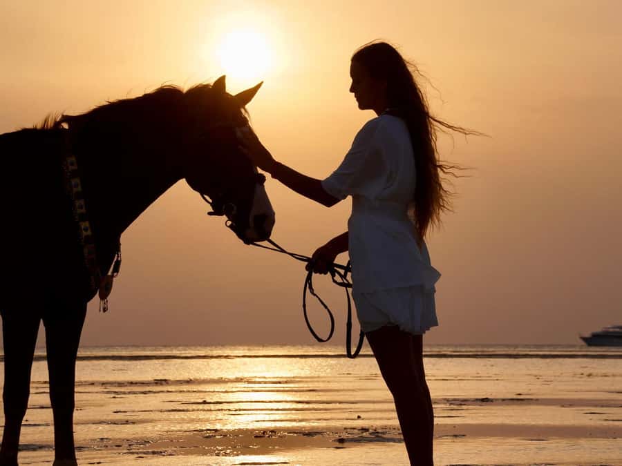 Makadi Bay: Horse Riding in Desert & Sea w Guide + Transfers - Desert sand, sea air, and a two-hour ride
